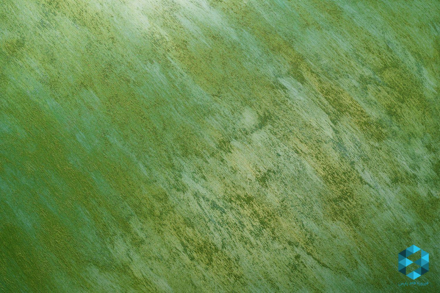 خرید پوشش وینتو